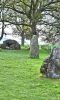 PICTURES/Belgium - Megaliths, Caves, Town of Durbuy/t_One.jpg